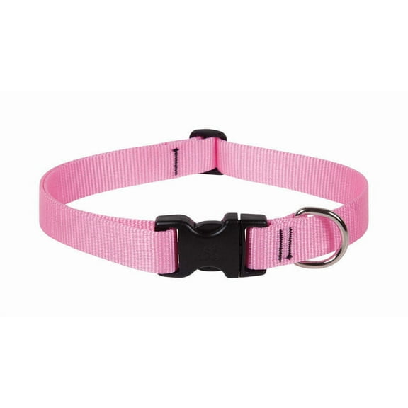 1in Pink 12-20 Adj Dog Collar