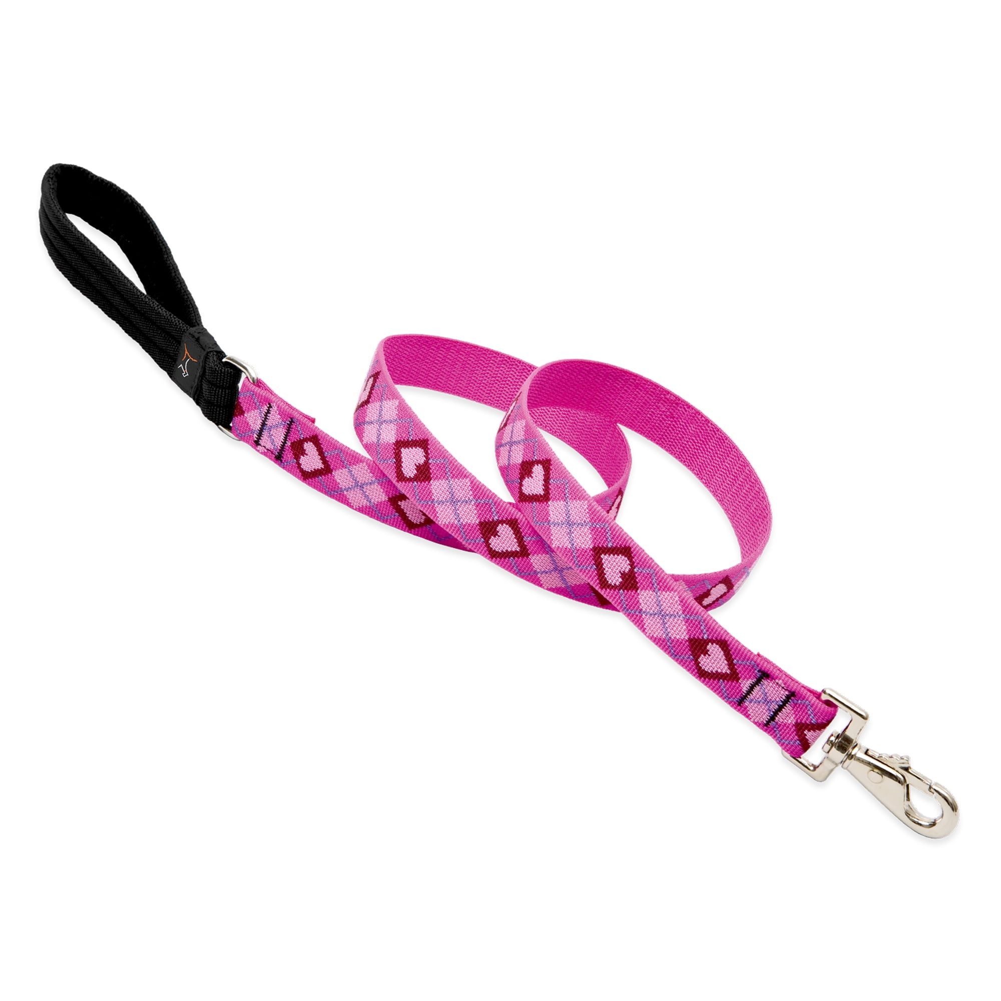 1in Puppy Love 6ft Dog Leash