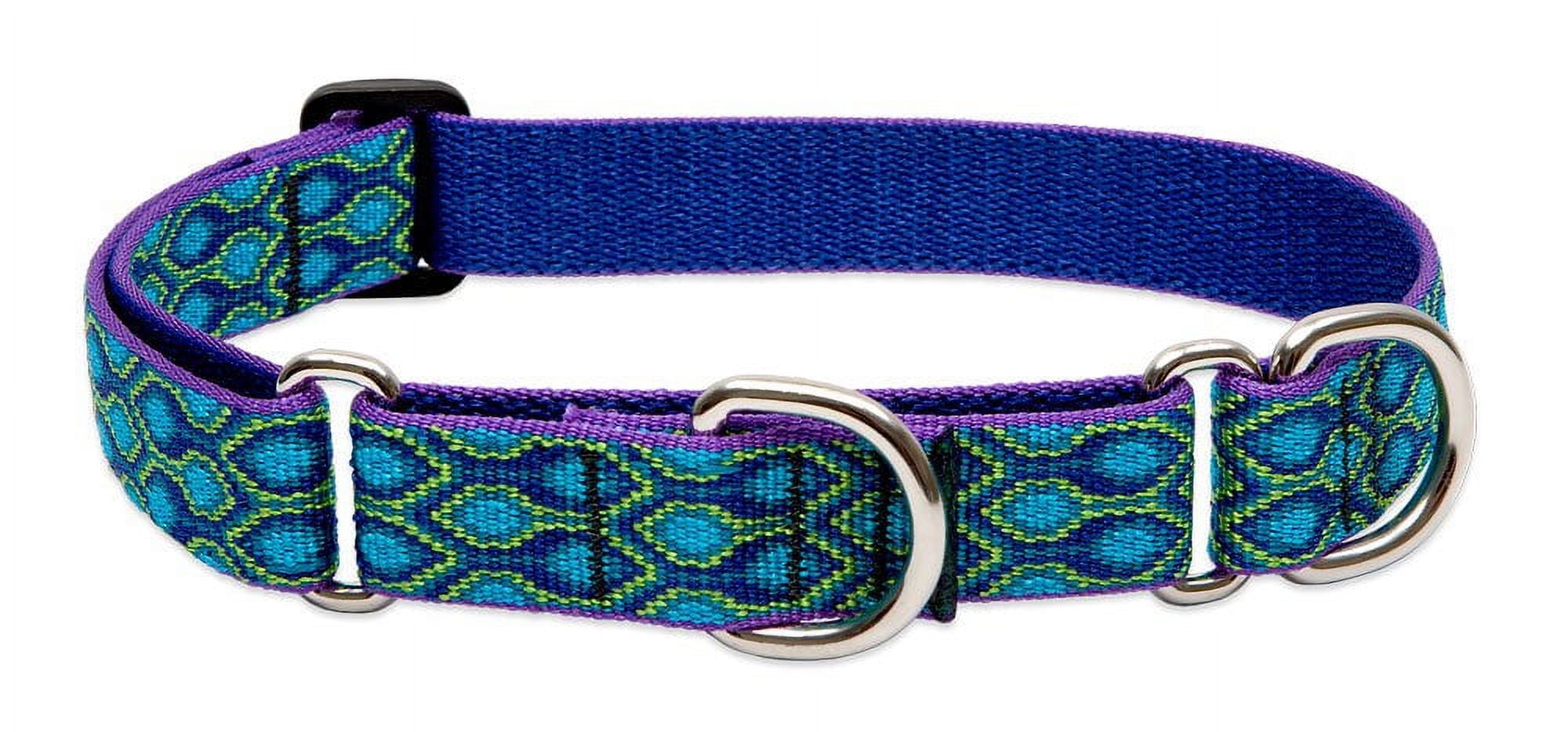 LupinePet Originals 1" Rain Song 19-27" Martingale Collar for Large Dogs