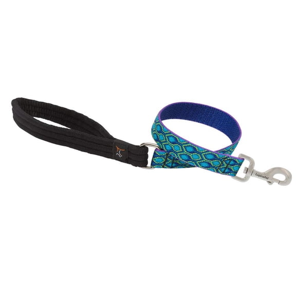 1in Rain Song 2ft Dog Leash