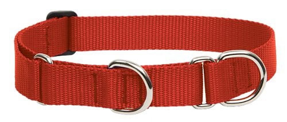 LupinePet Basics 1" Red 15-22" Martingale Collar for Medium and Larger Dogs