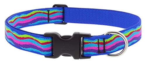 Large Dog Collar by Lupine 1" Wide Ripple Creek Design adjusts from 16" to 28"