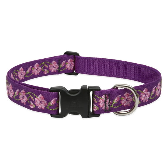 LupinePet Originals 1" Rose Garden 16-28" Adjustable Collar for Large Dogs