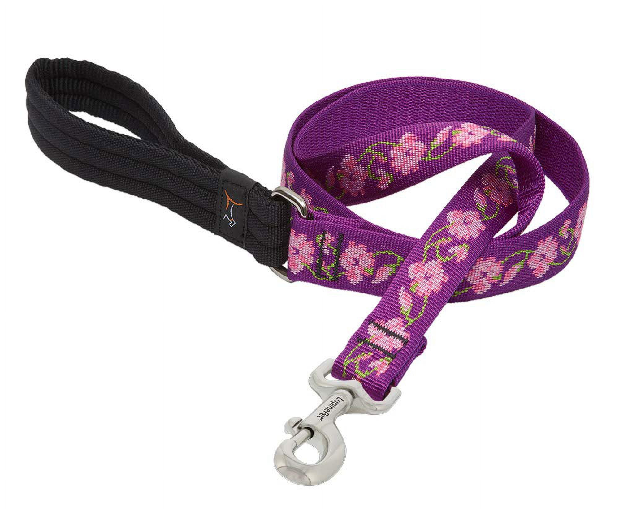 LupinePet Originals 1" Rose Garden 4-Foot Padded Handle Leash for Medium and Larger Dogs