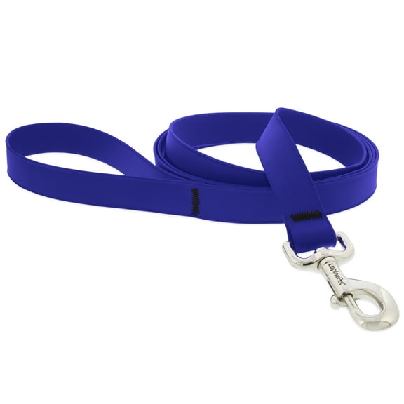Lupine 1 In. x 6 Ft. Waterproof True Blue Dog Leash 28059