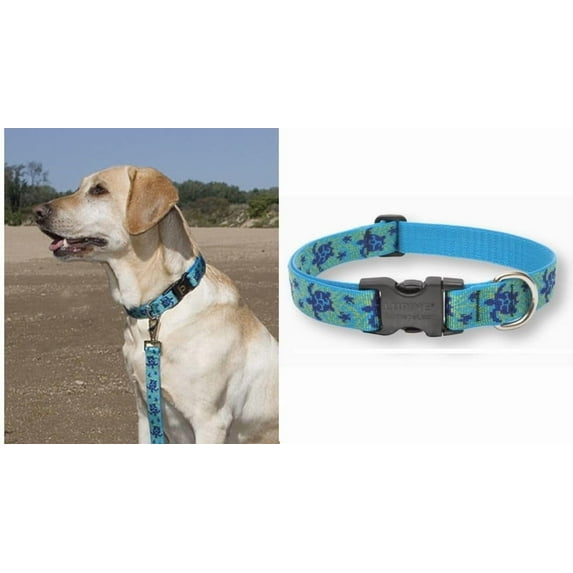 LupinePet Originals 1" Turtle Reef 12-20" Adjustable Collar for Medium and Larger Dogs