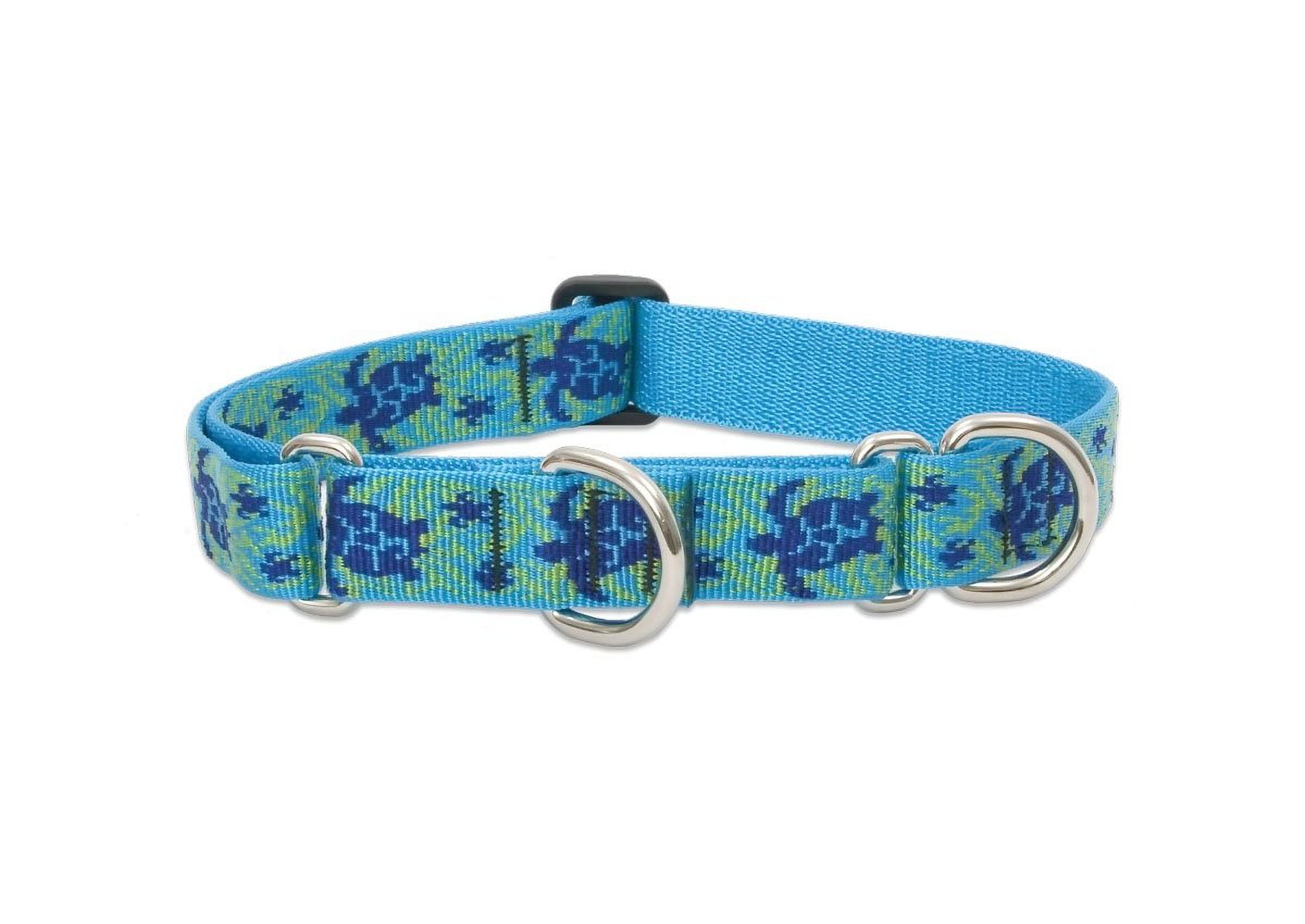 LupinePet Originals 1" Turtle Reef 15-22" Martingale Collar for Medium and Larger Dogs