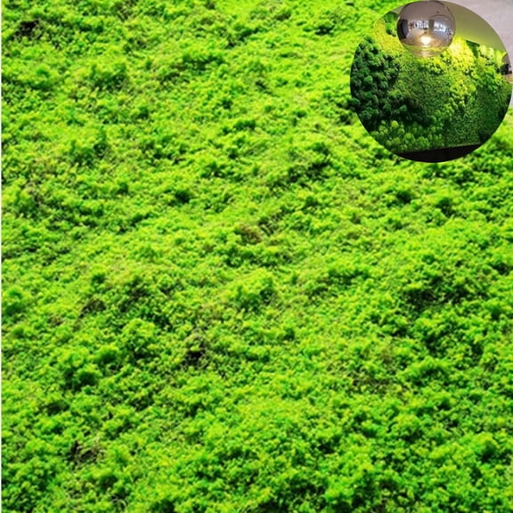 1pack DIY Artificial Grass Lawn,Artificial Moss for Crafts,Simulation Moss Mat for Outdoor Landscaping,DIY Table Centerpieces for Floral,Wedding,Light Green