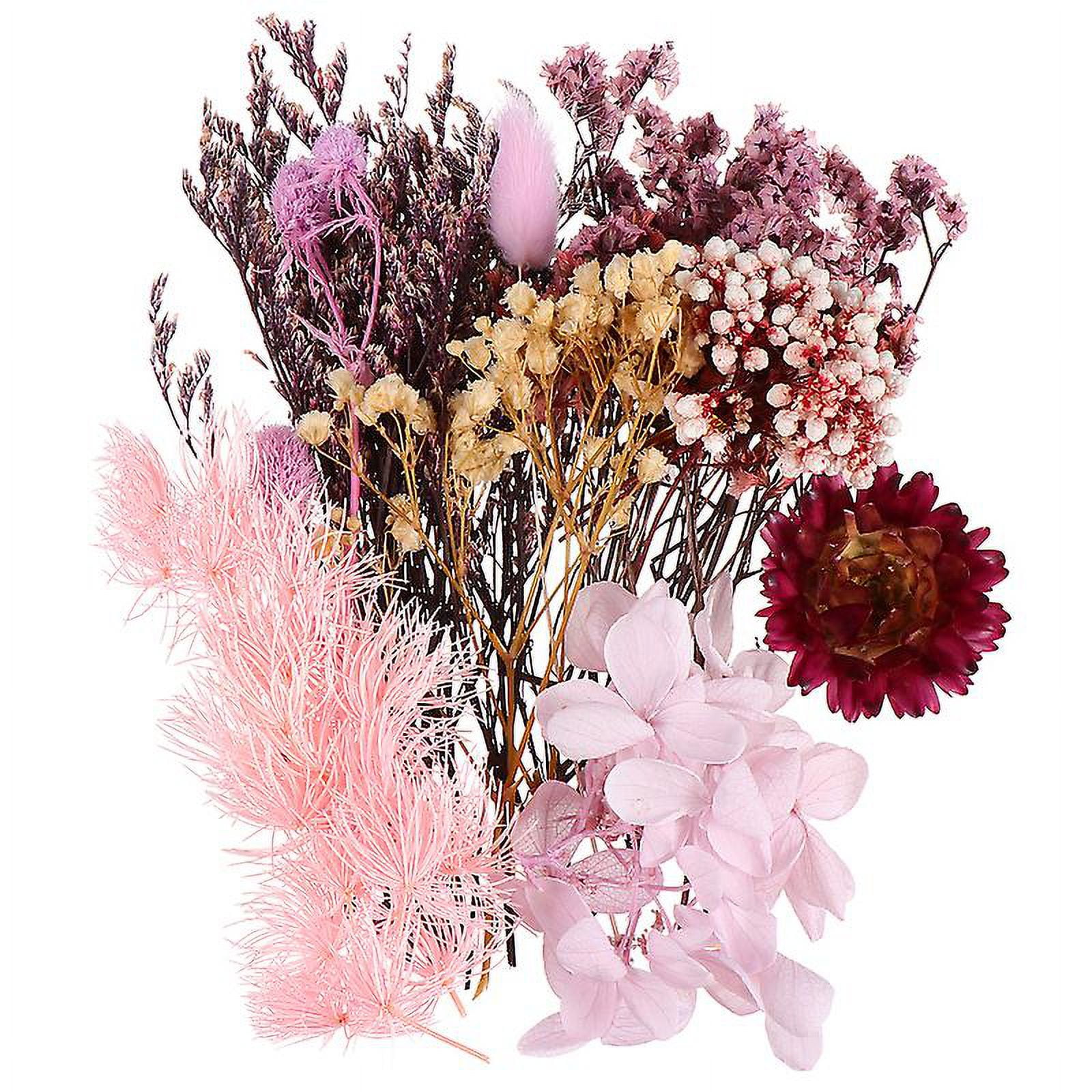 1pack Real Dried Flowers
