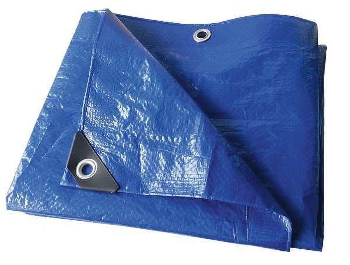 1pack ZoroSelect 22JC26 Tarp, 8 x 10 ft, 3.2 mil, Polyethylene