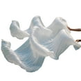 thumbnail image 1 of 1pair Belly Dance Fans Natural Silk Dancing Silk Fan White Newest Handmade Bamboo Ribs Dance Props Silk, 1 of 2