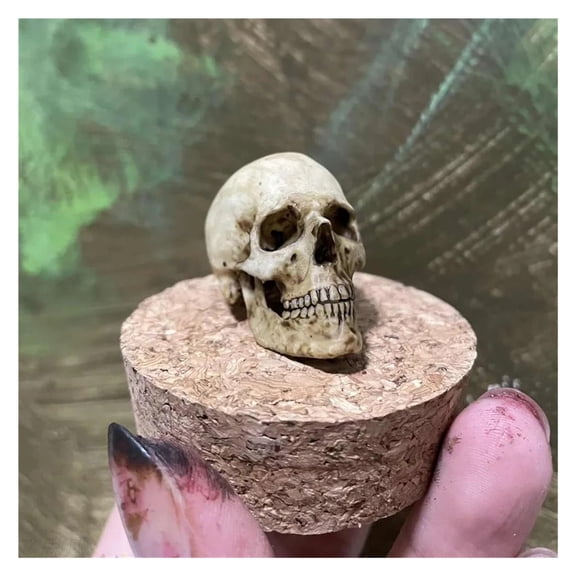 1pc 3D Printed 1:6 Realistic Skeleton Head Figure For Collectible Figurines Home Decor Accessories Fish Tank View