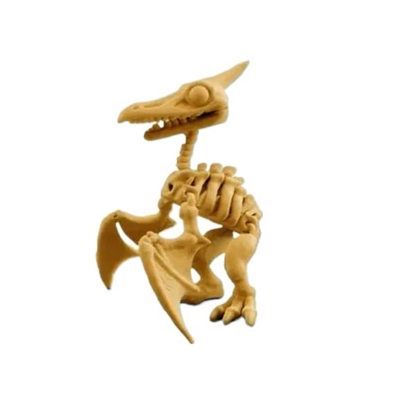 1pc 3D printed pterosaur dinosaur skeleton with movable joints