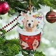 1pc Christmas Acrylic Christmas Stockings For Dogs Decorations