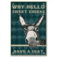 thumbnail image 1 of 1pc Donkey Why Hello Sweet Cheeks Sign Vintage Tin Signs Funny Metal Tin Sign Wall Art Garden House Plaque for Bathroom Kitchen Cafe Wall Halloween Christmas Decor 8 x 12 Inch, 1 of 7