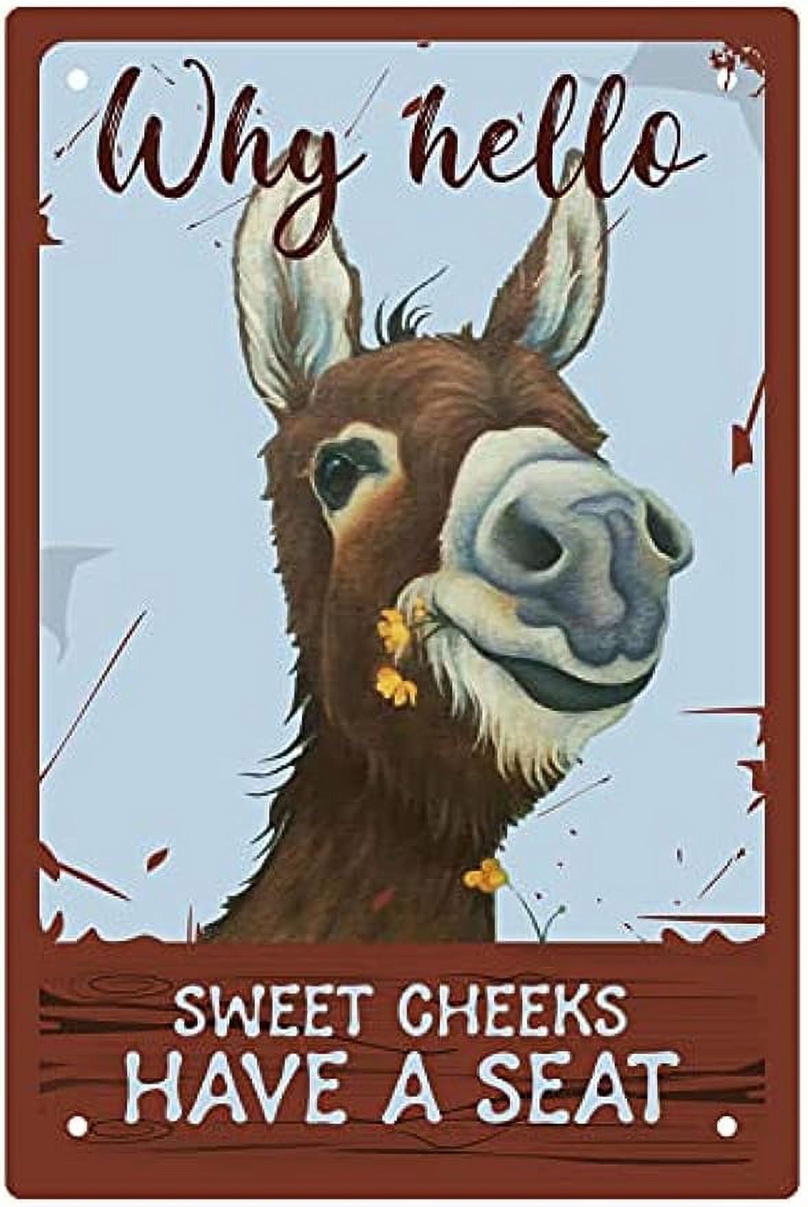 Shark Poster - Why Hello, Sweet Cheeks, Have A Seat