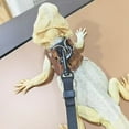 thumbnail image 1 of 1pc Exclusive Leopard - print Harness and Split - type Leash for Lizards and Chameleons, Must - have for Reptile Outings Complete Value Set, 1 of 4