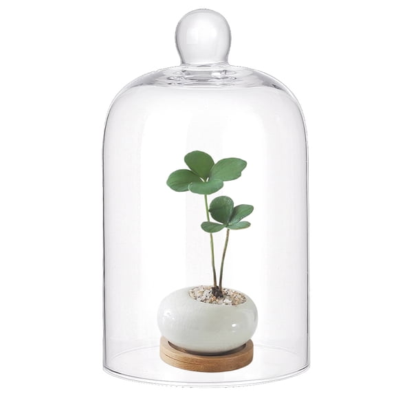 1pc Glass Dome Cover Decorative Display Case Cloche Bell Jar Terrarium Clear 8.8x15cm Inner Diameter: 8.5cmDIY