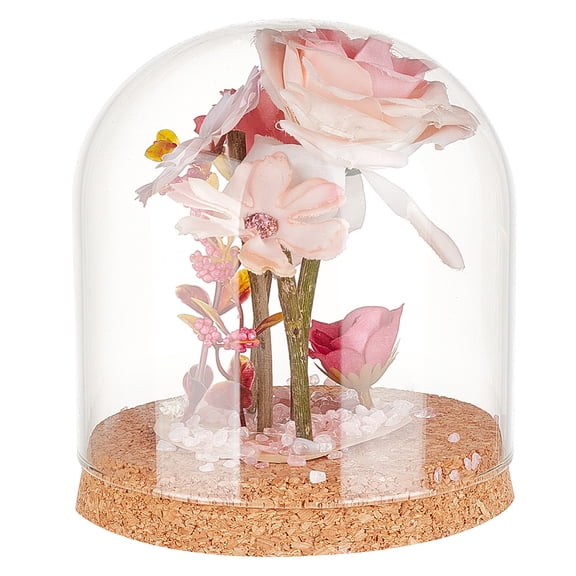 1pc Glass Dome Cover Decorative Display Case Cloche Bell Jar Terrarium with Cork Base Clear 120x140mm Inner Diameter: 115mmDIY