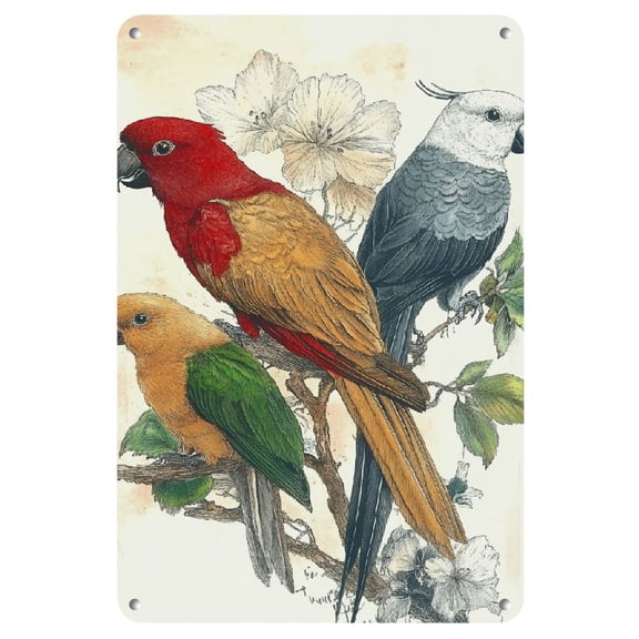 1pc Hand-drawn Bird Prints Colorful Avian Species Serie Iron Art Metal Iron Sign Painting 8*12inch-Simulated Aged Rust Border- Vintage Bird Illustrations Vintage Wall Decorations