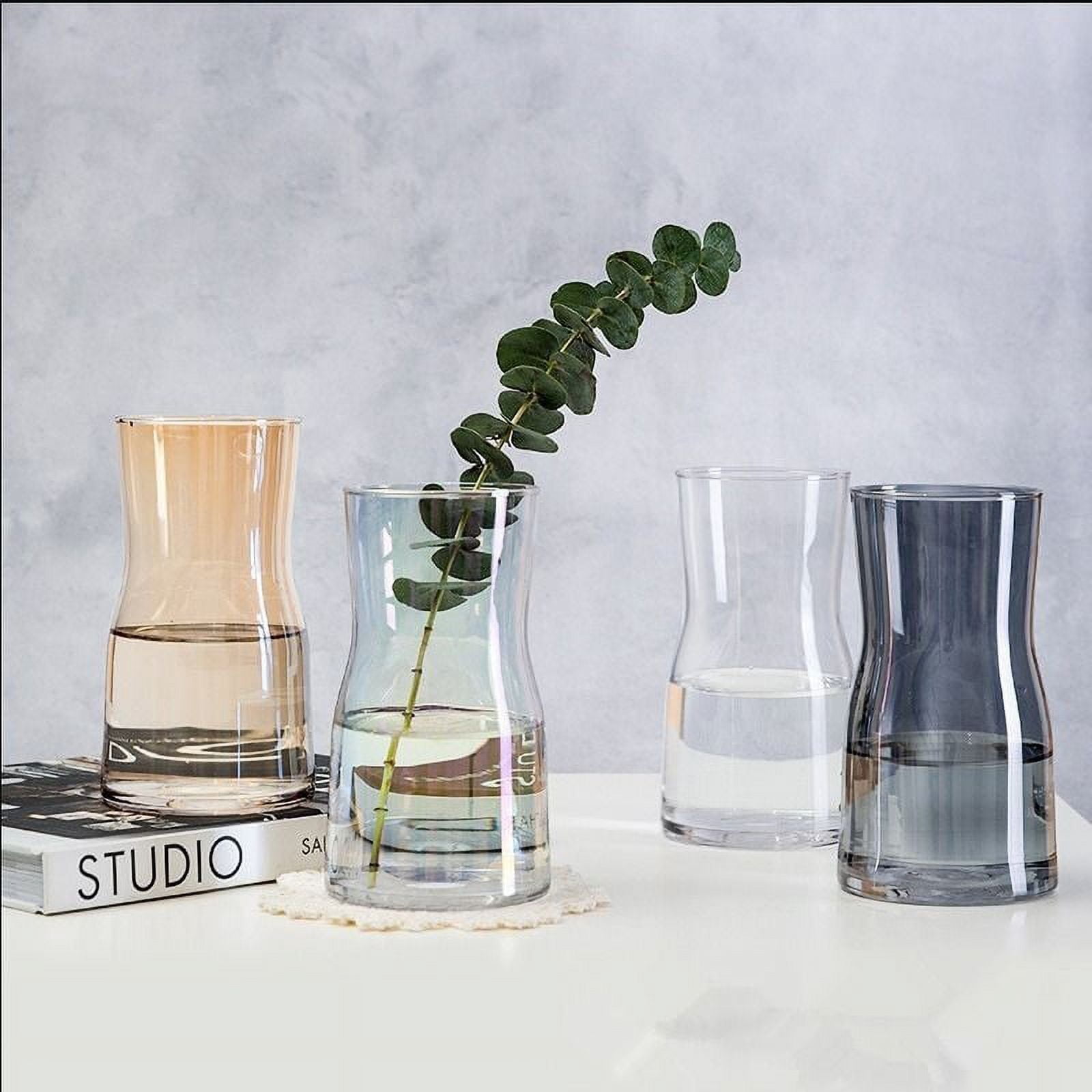 1pc Ins Style Glass Vase Living Room Dried Flowers Glass Transparent ...