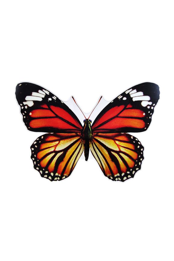 1pc Large 3D Butterfly Wall DecalsButterfly Wall Decor 3D Butterfly Removable Mural Stickers Butterflies Removable Mural Stickers for Home and Room Decoration