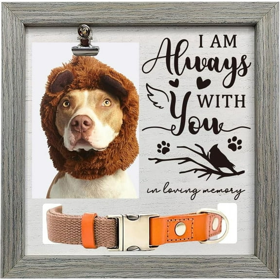 1pc MDF Pet Photo Frames for Tabletop Display Photo Frame Square with Word Gray Paw Print 230x230mm Craft