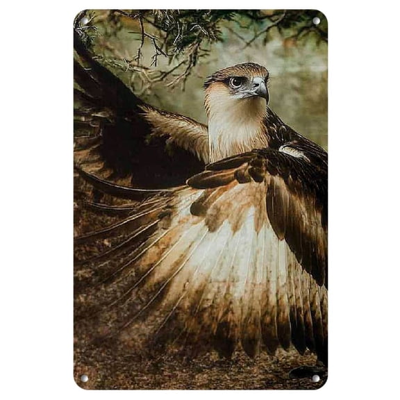 1pc Majestic Eagle Iron Wall Art - Vintage Decor for Home, Bar, Cafe, Garage | Rustic Plaque with Lifelike Eagle Imagery for Room & Restaurant Decoration, Perfect for Room Decor