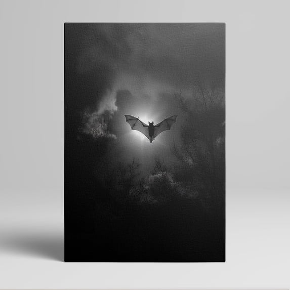 1pc Mysterious Bat Silhouette Flying Against a Moonlit Sky framed Decor room hanging Wall Picture Decor for Home Gifts, living room, bathroom, bedroom, kitchen wall art decor canvas wall art