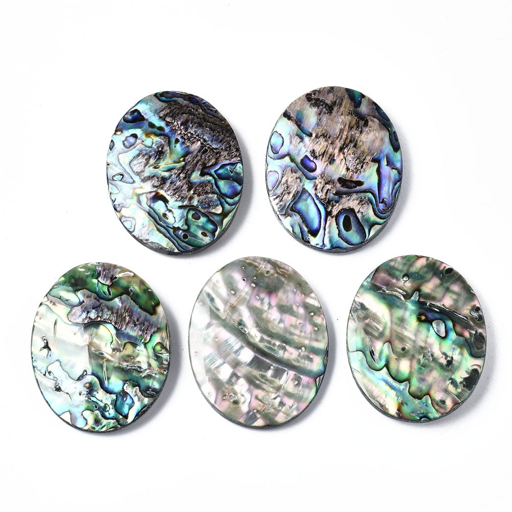 1pc Natural Abalone Shell/Paua Shell Cabochons with Freshwater Shell ...