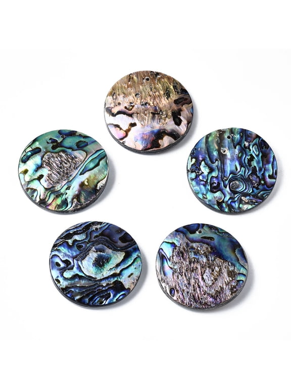 1pc Natural Abalone Shell/Paua Shell Pendants with Freshwater Shell Flat Round 40x6~8mm