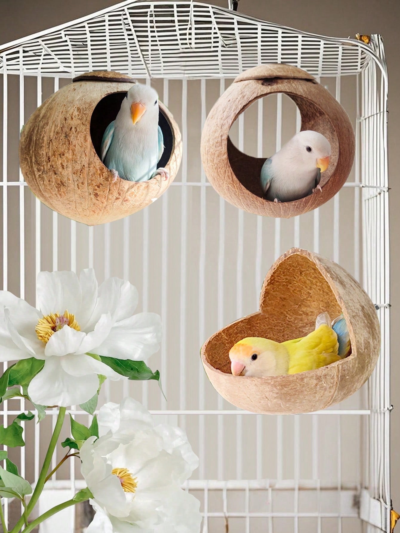 1pc Random Type Hanging Parrot Coconut Shell Bird Nest Coconut Shell ...