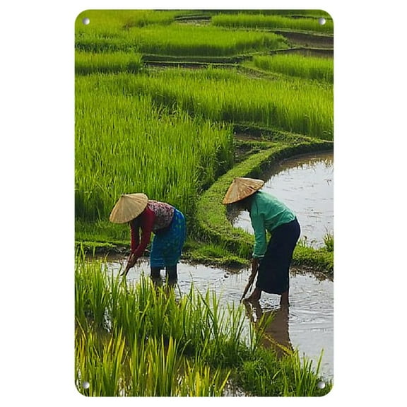 1pc, Rustic Iron Rice Field Farming Scene, 8x12inch, Metal Wall Art, Vintage Farmhouse Decor, Ideal for Home, Office, Bar, Cafe, Restaurant, Hotel, Bedroom, Bathroom, Garage Decor