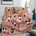 thumbnail image 1 of 1pc Soft And Cozy Flamingo Pattern Shawl Blanket - Perfect Gift For Friends And Family - Multipurpose All-Season Flannel Blanket For Bed, Sofa, Office, Travel, Camping And Picnic, 1 of 10