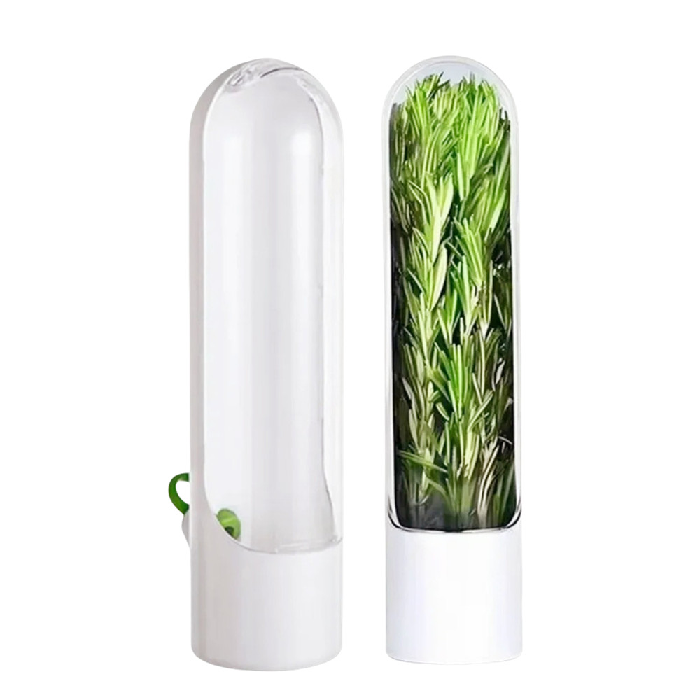 1pc Vegetable Coriander Fresh Keeping Box Refrigerator Organizer Mint 