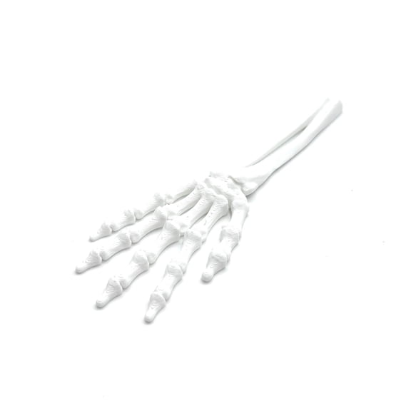 1pc White Size: 13*5*3cm 3D Printed Halloween Skull Hand And Claw Skeleton Ornament