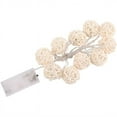 thumbnail image 1 of 1pcs Globe Rattan String Lights, 1 of 3