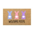 thumbnail image 1 of 1pcs Happy Easter Natural Coir Door Mat Cartoon Bunny Pattern Welcome Mat Entrance Door Rugs For Indoor Outdoor Home Bathroom Decor, 1 of 5