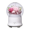 thumbnail image 1 of 1pcs Luminous Humidifier, 1 of 3