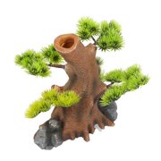 1pcs Natural Driftwood