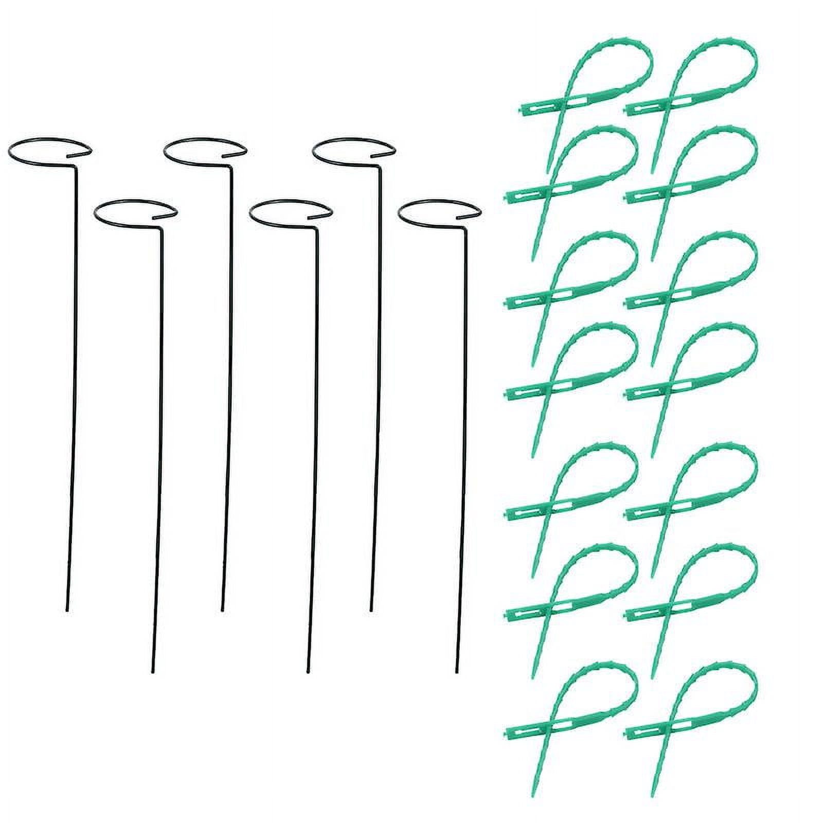 1pcs Plant Support Frame