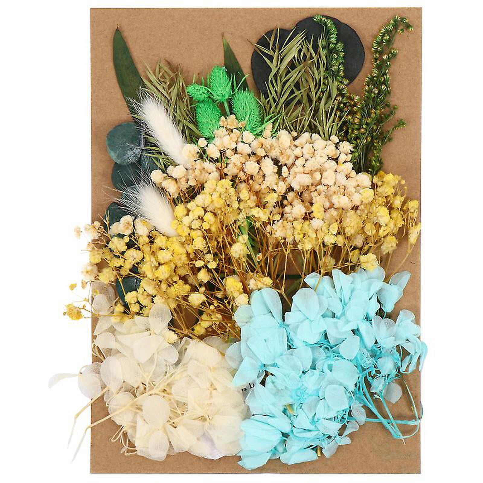 1pcs Pressed Flowers