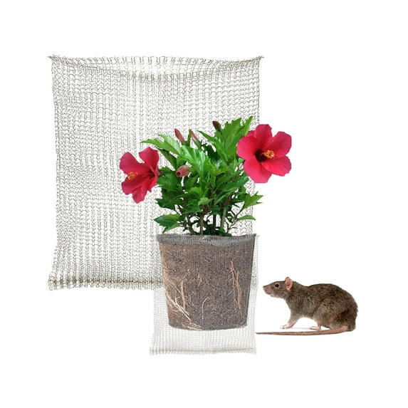 1pcs Stainless Steel Plant Root Guard Baskets Reusable for Trees Flowers Bulbs Root, Burrowing Animals Gopher Cages Wire Cages