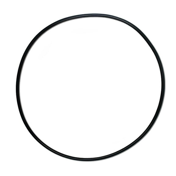 1pcs Swimming Pool Filter Tank Replacement O-Ring 27001-0061S For Sta-Rite For System 3 Water Filtration System Seal