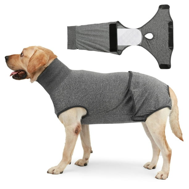 1pcs postoperative suit for dogs High elasticity Breathable dog spay/neuter suit for dogs after surgery - Walmart Business Supplies 1pcs postoperative suit for dogs High elasticity Breathable dog spay/neuter suit for dogs after surgery - Walmart Business Supplies