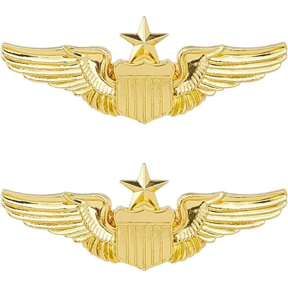 1set 2pcs Alloy Brooches Badge with Wing Golden 22.5x59x2mm