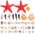 thumbnail image 1 of 1set Beach Shells, 1 of 3