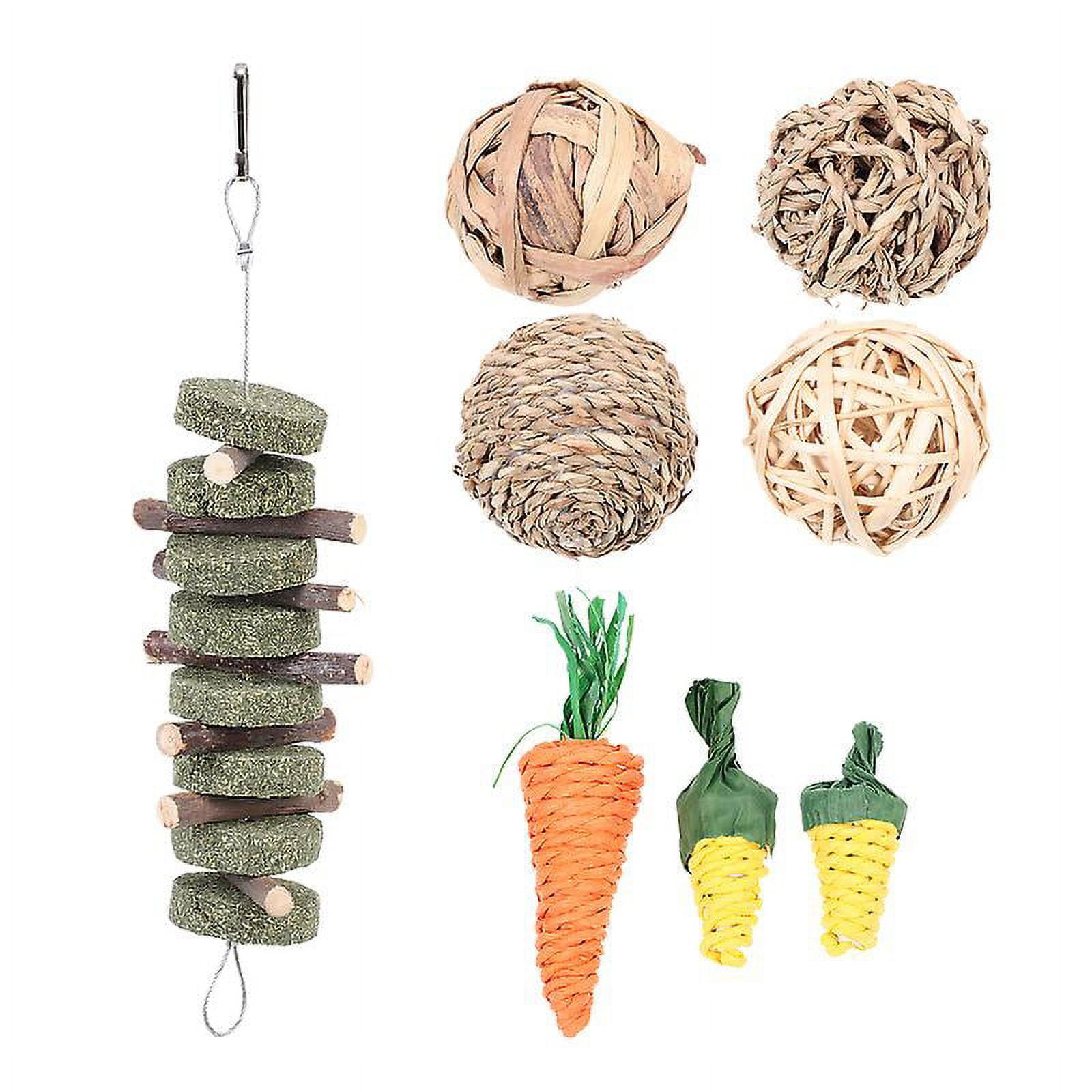 1set Rabbit Molar Toys