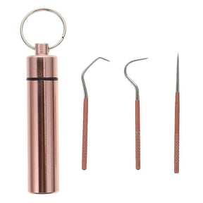 1set Teeth Cleaning Tool