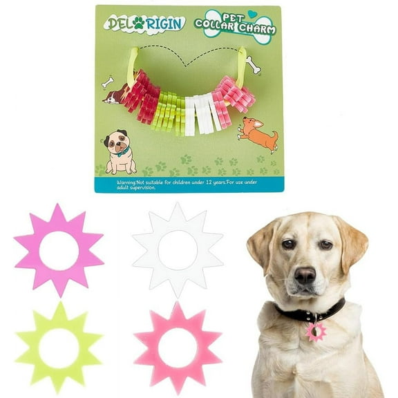 1set Transparent Blank Acrylic Pet Dog ID Tag for Puppy Collar Pendant Sun Mixed color 25x25x3mm Hole: 3mm 4 colors 10pcs/color 40pcs/set